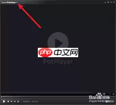 potplayer如何设置立体声