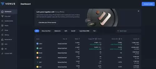 vBNB币是什么币种-第1张图片-币安下载