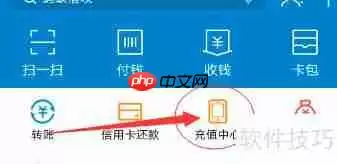 支付宝购买黄钻豪华版指南