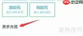 支付宝购买黄钻豪华版指南