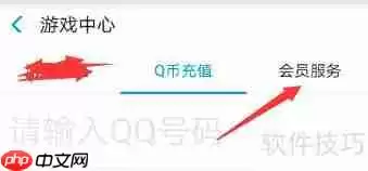 支付宝购买黄钻豪华版指南