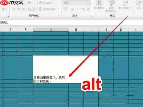 excel如何回车?excel回车操作步骤