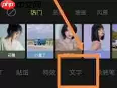醒图文字怎么改成竖排