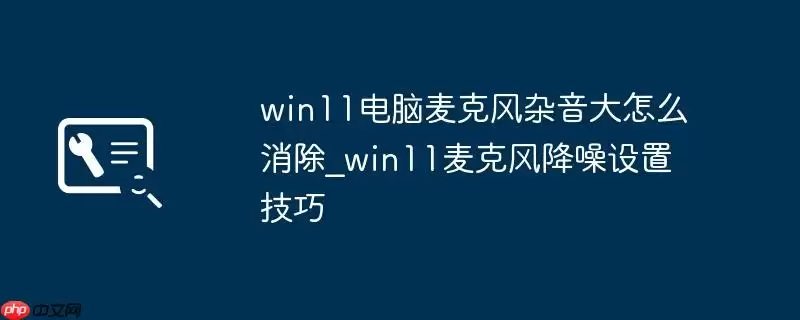 win11电脑麦克风杂音大怎么消除_win11麦克风降噪设置技巧