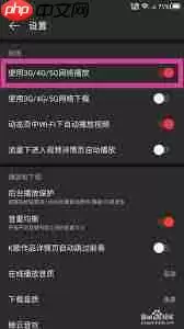 网易云音乐怎么开启流量播放