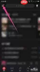 网易云音乐怎么开启流量播放