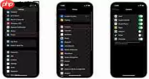 苹果手机如何设置应用权限