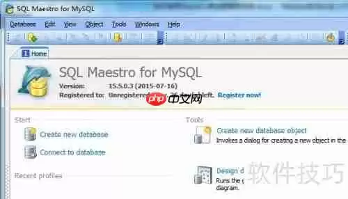 Maestro导出PDF格式数据库表报告的方法