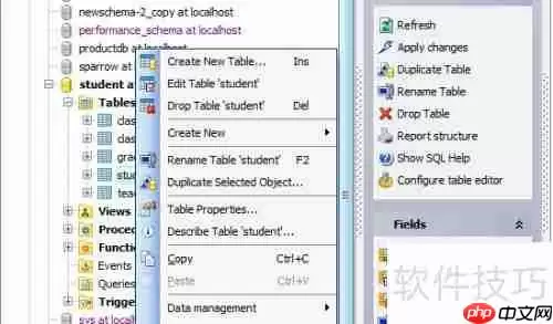 Maestro导出PDF格式数据库表报告的方法