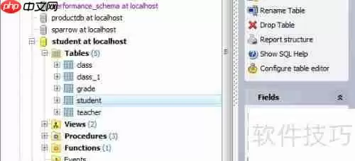 Maestro导出PDF格式数据库表报告的方法