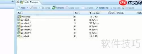 DB Master生成数据库表HTML报表的方法