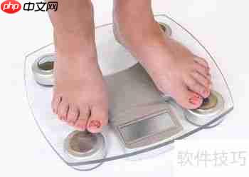 电子秤选购指南：精准测量，健康生活