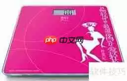 电子秤选购指南:精准测量,健康生活