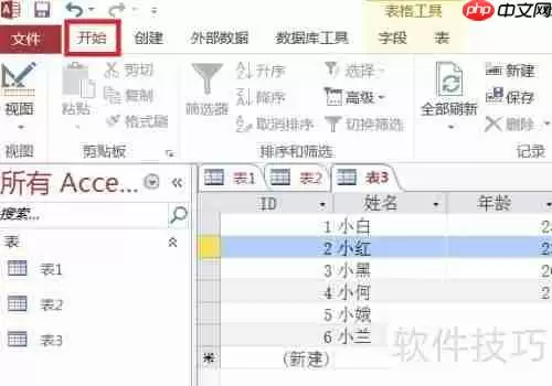 Access数据库入门:设置字体格式教程