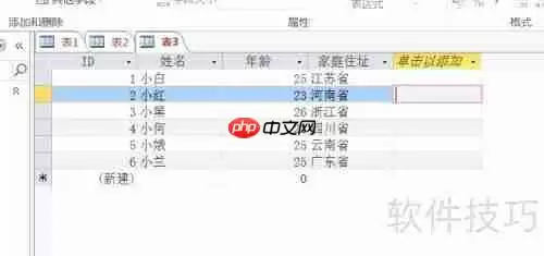 Access数据库入门:设置字体格式教程