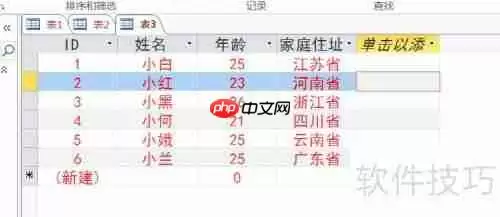 Access数据库入门:设置字体格式教程