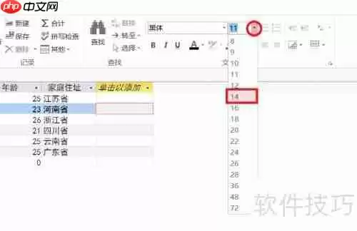 Access数据库入门:设置字体格式教程