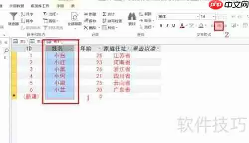 Access数据库入门:设置字体格式教程