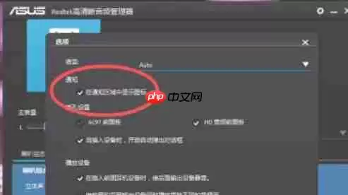 Realtek 高清音频管理器怎么设置隐藏-Realtek 高清音频管理器设置隐藏的方法