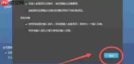 Realtek 高清音频管理器怎么设置隐藏-Realtek 高清音频管理器设置隐藏的方法