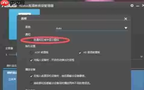 Realtek 高清音频管理器怎么设置隐藏-Realtek 高清音频管理器设置隐藏的方法