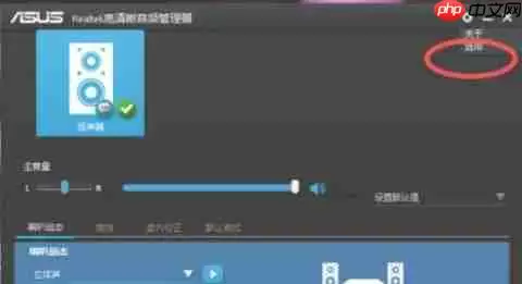 Realtek 高清音频管理器怎么设置隐藏-Realtek 高清音频管理器设置隐藏的方法
