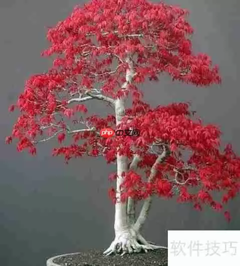 红枫的养殖方法与注意事项全攻略