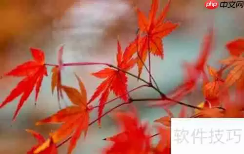 绿植红枫的培植技巧与养护方法