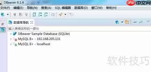 DBeaver导出数据库表记录为TXT格式的方法