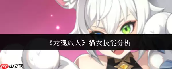 龙魂旅人猫女深度解析：战场残血收割机，奥义连发停不下来