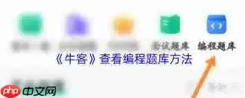 牛客编程题位置在哪