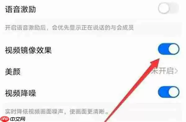 钉钉怎么开启视频镜像模式