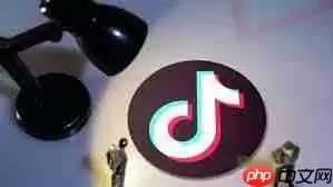 抖音退货接口数据返回为空如何解决