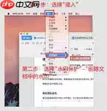 如何删除WPS水印