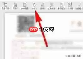 如何删除WPS水印