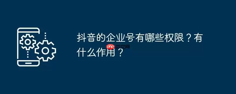 抖音的企业号有哪些权限？有什么作用？