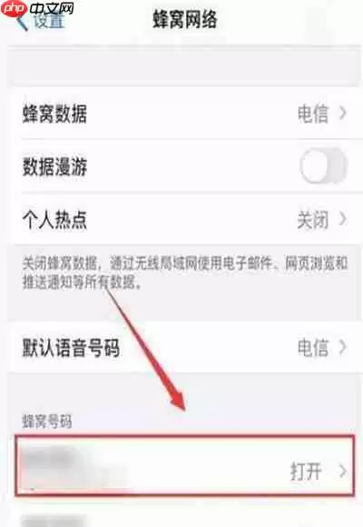 苹果12怎么设置5g网络