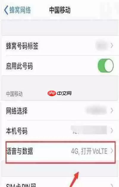 苹果12怎么设置5g网络
