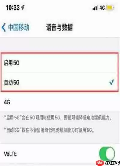 苹果12怎么设置5g网络
