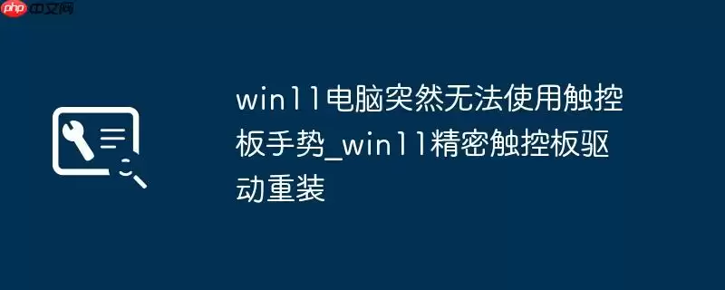 win11电脑突然无法使用触控板手势_win11精密触控板驱动重装
