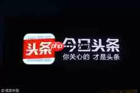 今日头条属于哪个公司