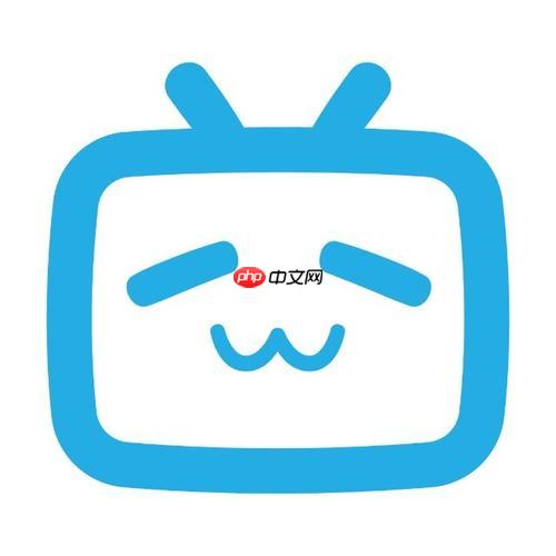 B站怎么使用BV号 视频链接转换与搜索技巧