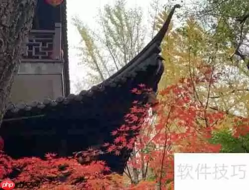 掌握这些技巧，拍出最美的红枫大片
