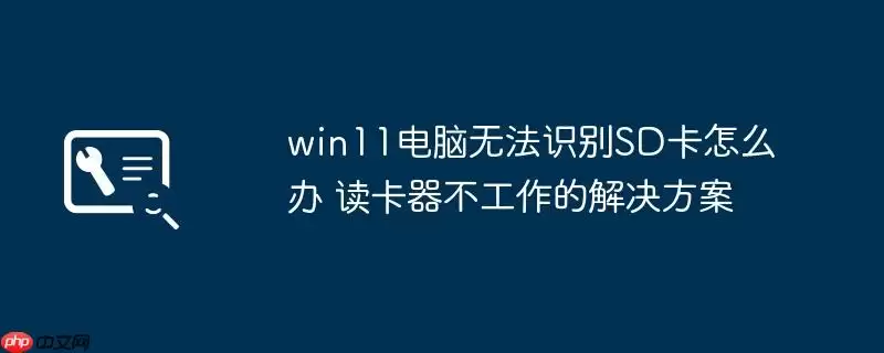 win11电脑无法识别SD卡怎么办 读卡器不工作的解决方案