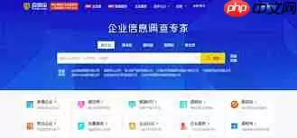 启信宝如何使用