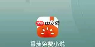 番茄免费小说网页版入口在哪