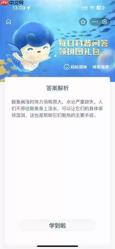 支付宝神奇海洋2022年11月3日答案一览