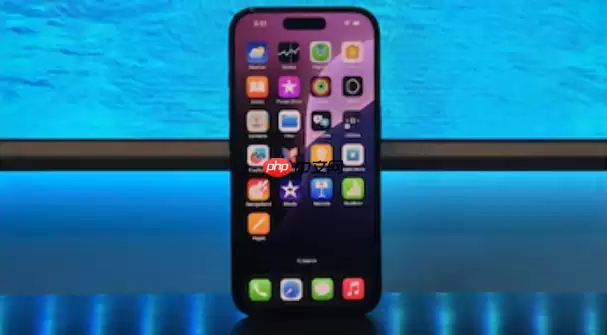 你肯定不知道！iPhone自带的“屏幕翻译”功能​