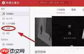 网易云音乐如何查看MV