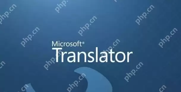 在线翻译软件排行榜 盘点2025全球最好用的十个在线翻译APP - 游乐网